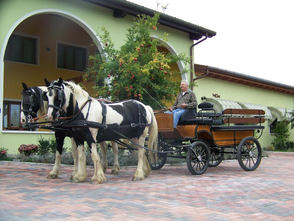Agriturismo Nonna Rina San Liberale Exterior foto