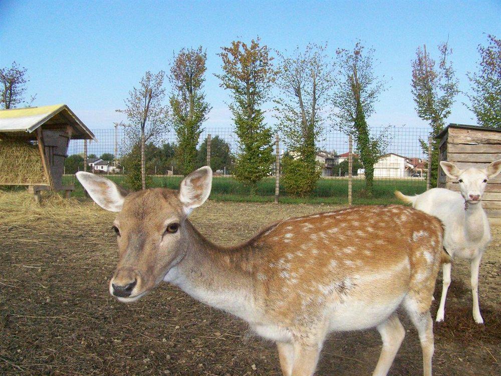 Agriturismo Nonna Rina San Liberale Exterior foto